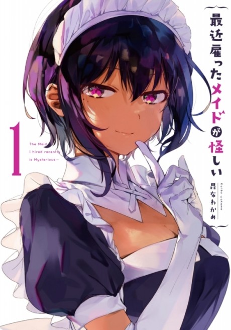 The Maid I Hired Recently is Mysterious