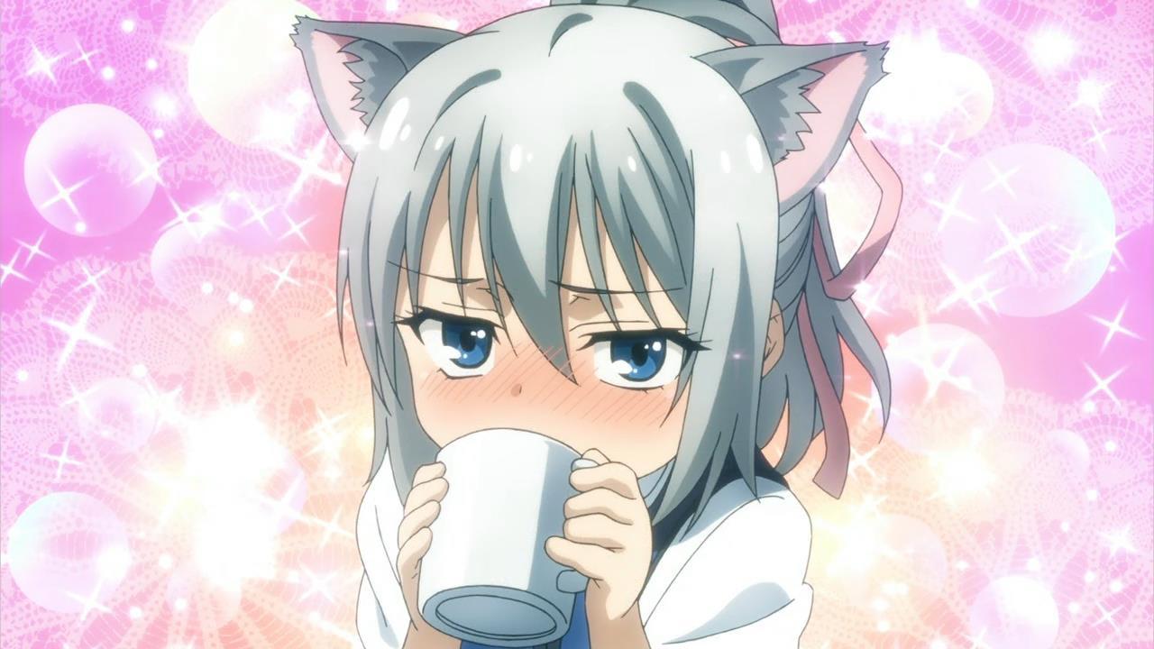 Absolute Duo