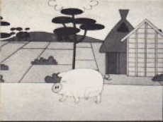 Buta ga Nigeta