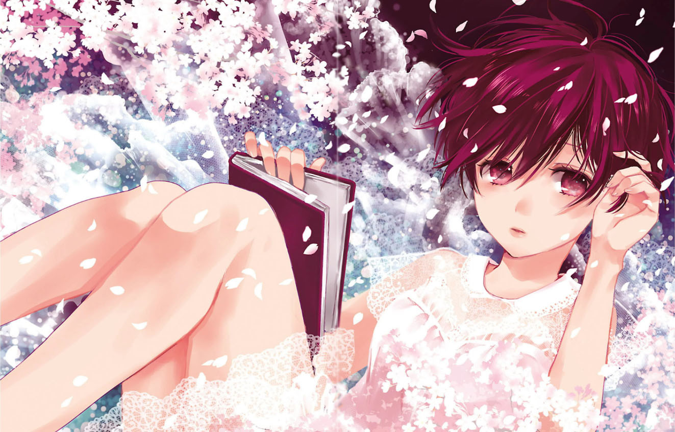 Walkure Romanze