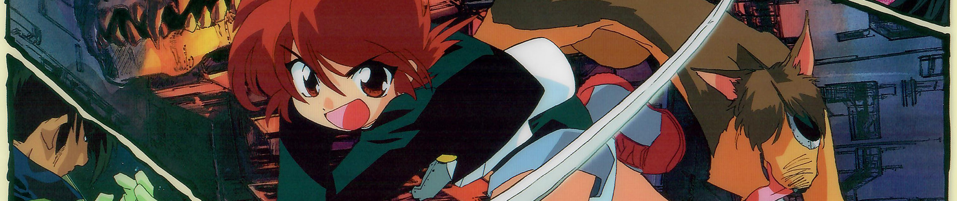 Shin Hakkenden